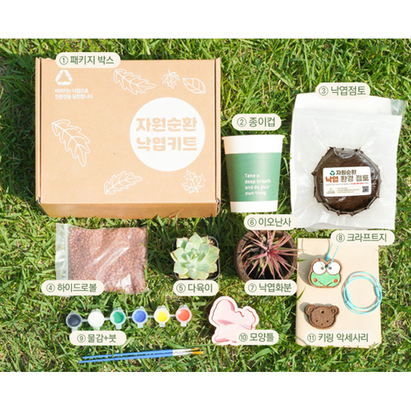 강원더몰,자원순환 낙엽키트 (폐낙엽 업사이클링 세트+낙엽 키링 만들기 체험)
